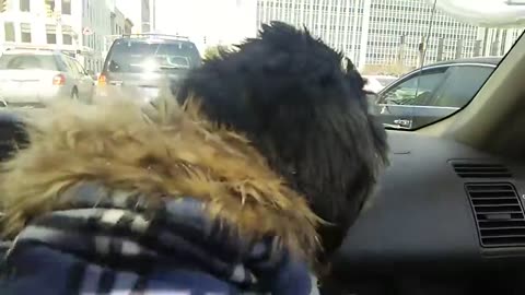 #28. Part 2. Downtown Driving