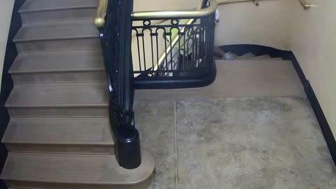 5189CHOB04Stair3_2021-01-05_00h40min01s433ms.mp4