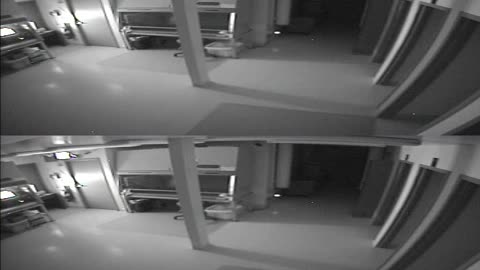 1702CRIB01CribAnalysisArea_2021-01-05_00h40min00s030ms.mp4
