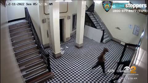 Suspects wanted in Bronx knifepoint robbery