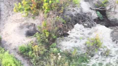 +18 Disturbing Video showing dead and wounded