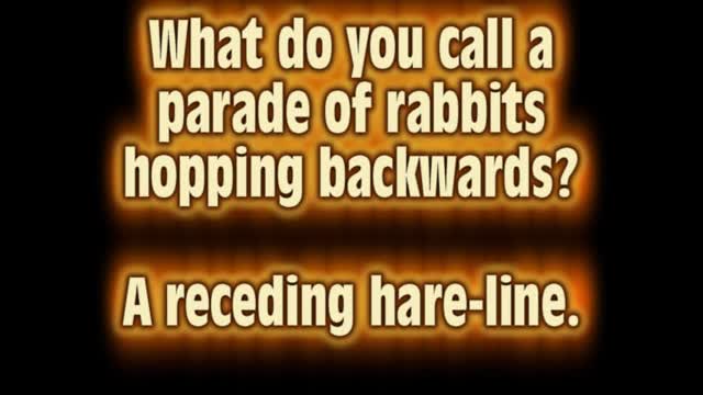 Daily Dad Jokes #4 #dadjokes