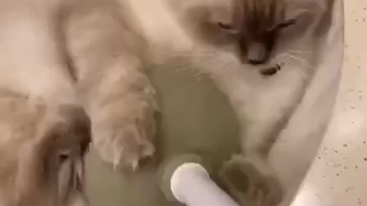 Another blockage in the sink