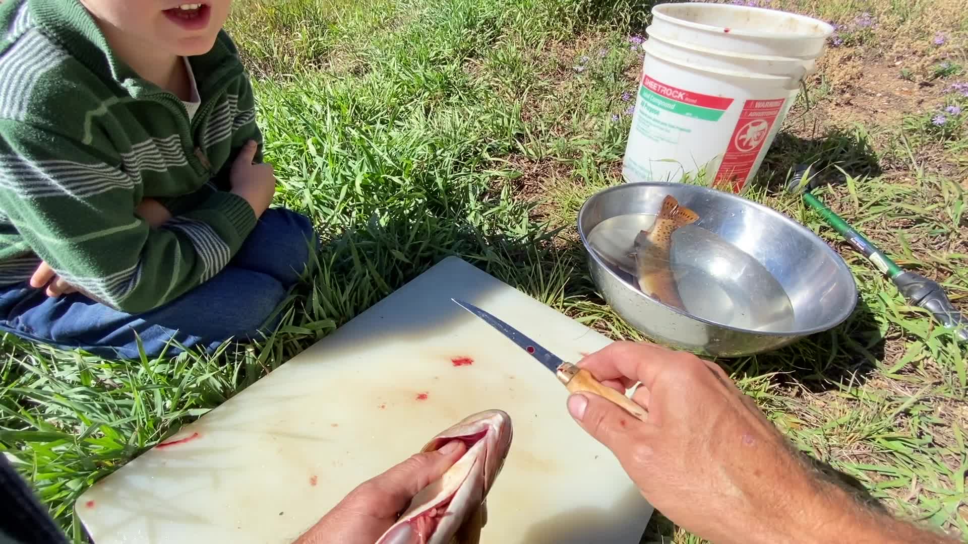 5 yr old reaction to catching trout for the first time