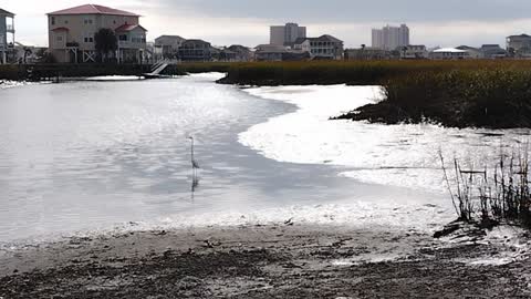 Cherry Grove 53rd Street 2022 October what's going on