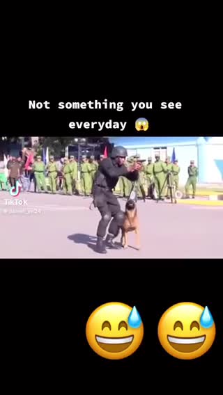 Not something you see every day