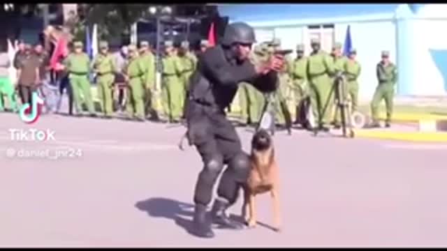 Not something you see every day