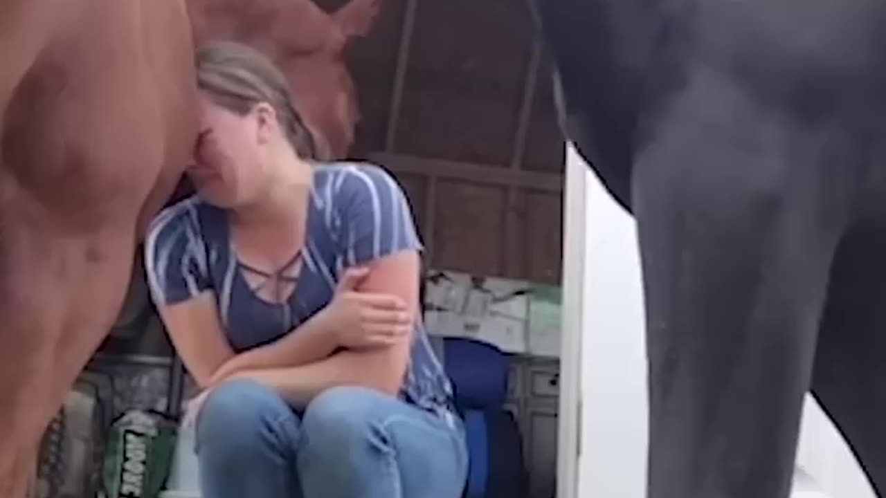 A horse cuddling its owner? Majestic sight