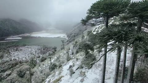 Chile Tourism Spot_ Chile, Open Nature.mp4