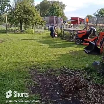 Cookie escapes !! #homesteading