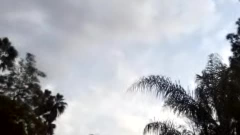 May 9, TUESDAY = WHITE DAY (2's), 6:42pm finish, 2023.