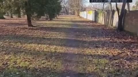 Kropki kwantowe w szczepionkach cześć 1