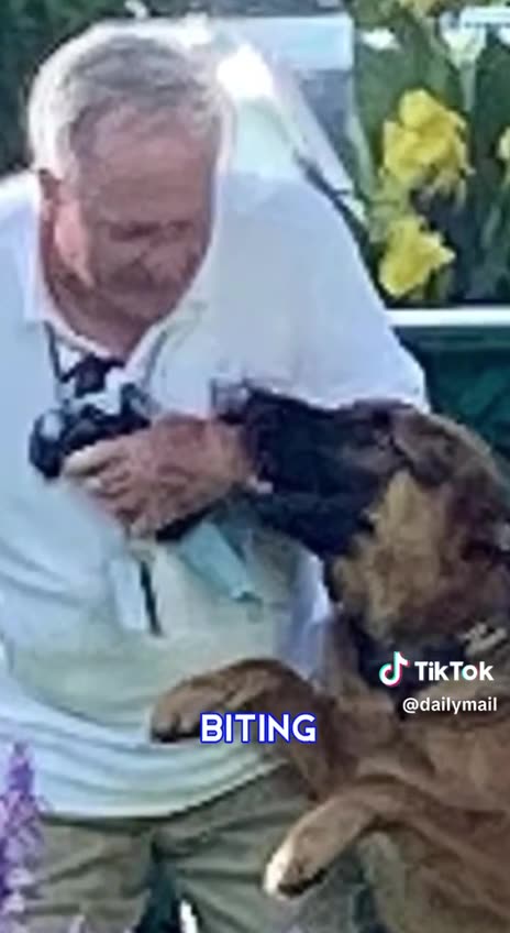 Paul Sperry Said There's Reports About How Biden Kicks And Punches This Dog