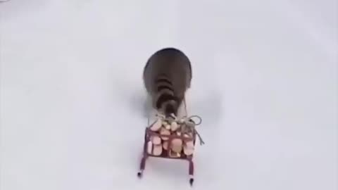 The Gutter Goblin
