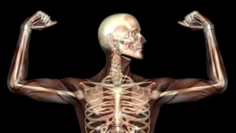 Increase bone mass || POWERFUL SUBLIMINAL [request]