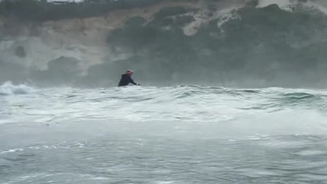 Figured out why they call this spot Shark