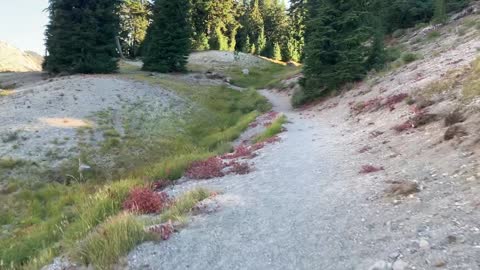 Central Oregon - Three Sisters Wilderness - Creek Crossing + First Peaks at South Sister Mountain