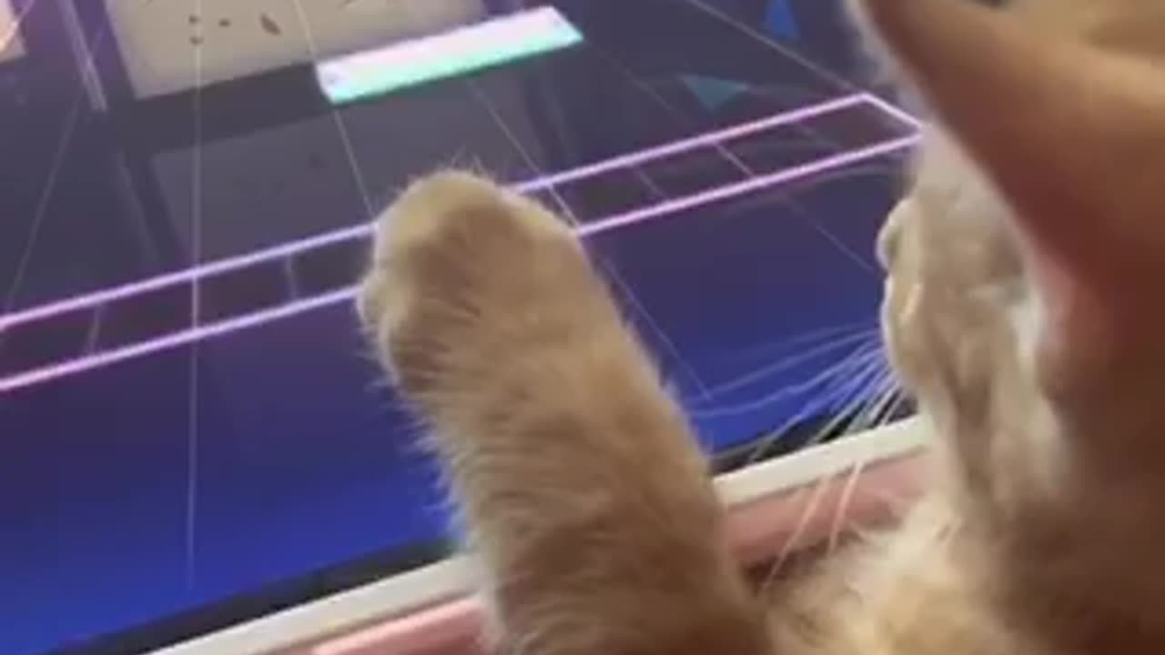 He has been training for years to be professional at this 😂