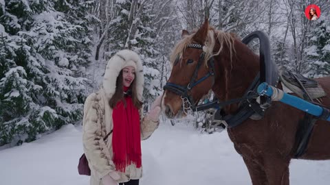 Heading to Russia’s NORTH! ❄️ Retro Steam Train to Karelia 🚂