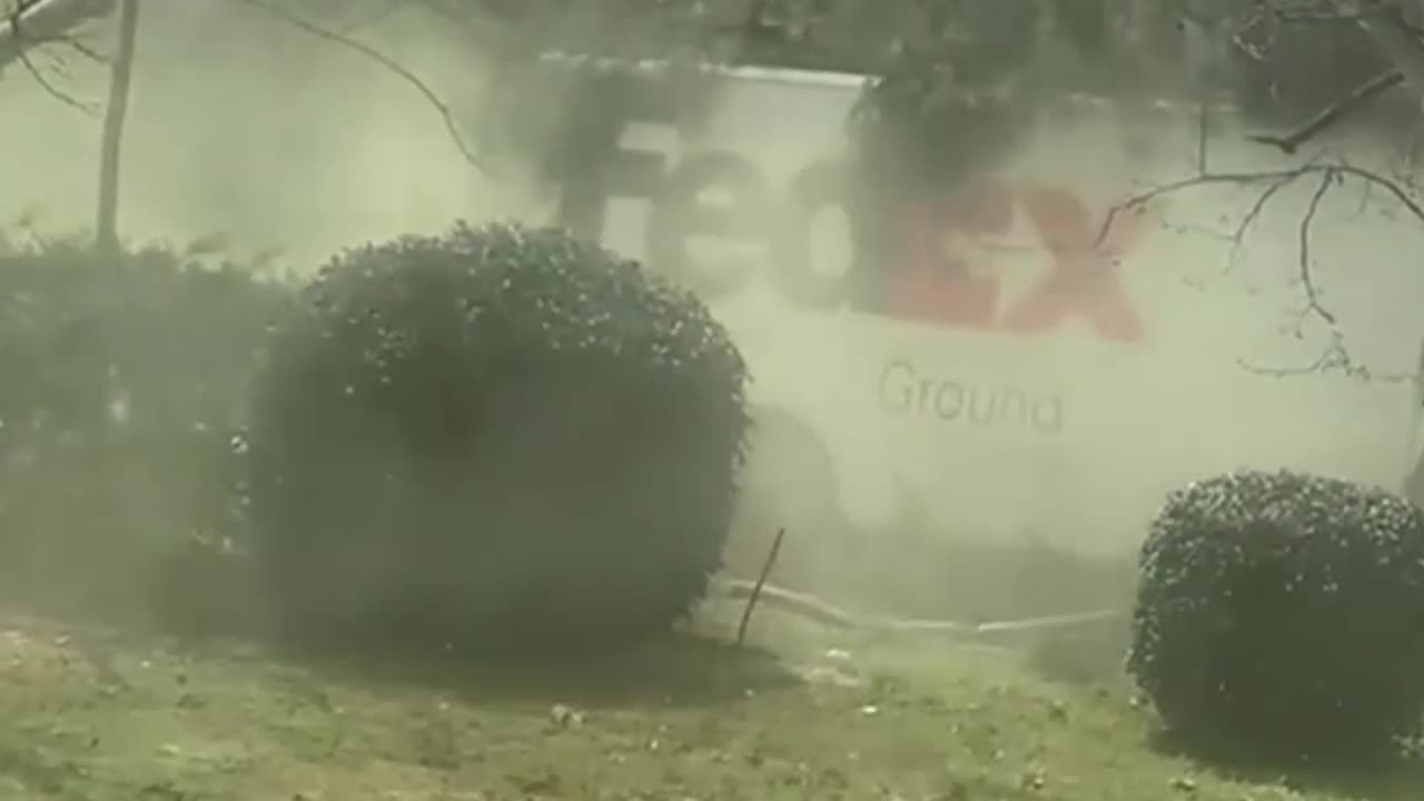 Crazy and Funny Videos!