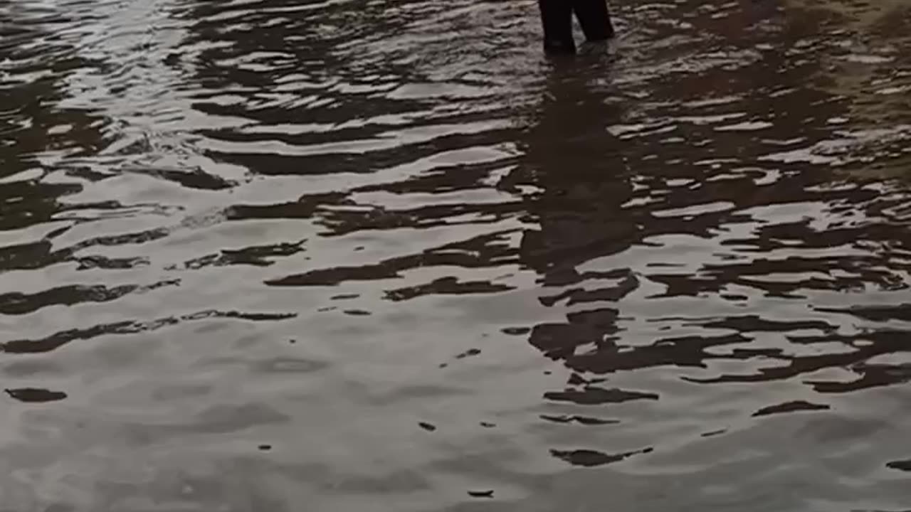 flood in front of my house