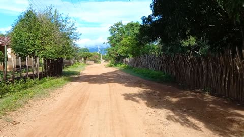 MÚSICA PARA RELAXAR E VIAJAR NAS ESTRADAS DA ROÇA NO BRASIL | RAIZES DO REI