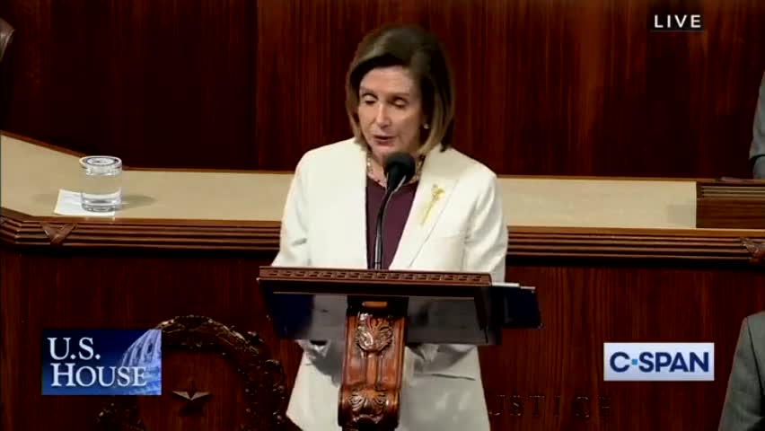 Crazy Nancy Decides Not To Seek Dem Leadership In Next Congress