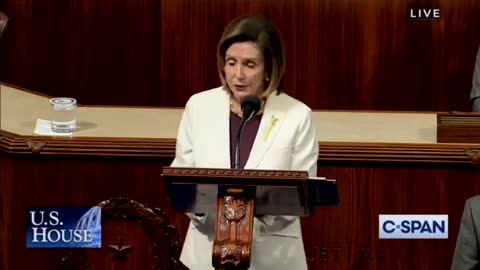 Crazy Nancy Decides Not To Seek Dem Leadership In Next Congress