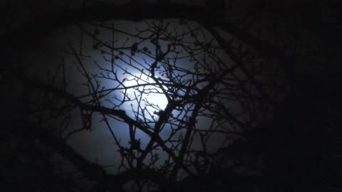 Relaxing for Sleep and Insomnia