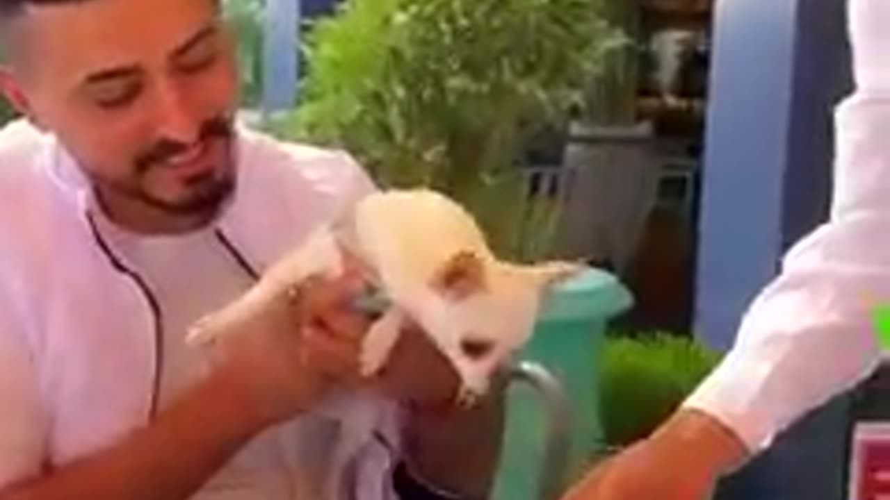 This is so cute puppy