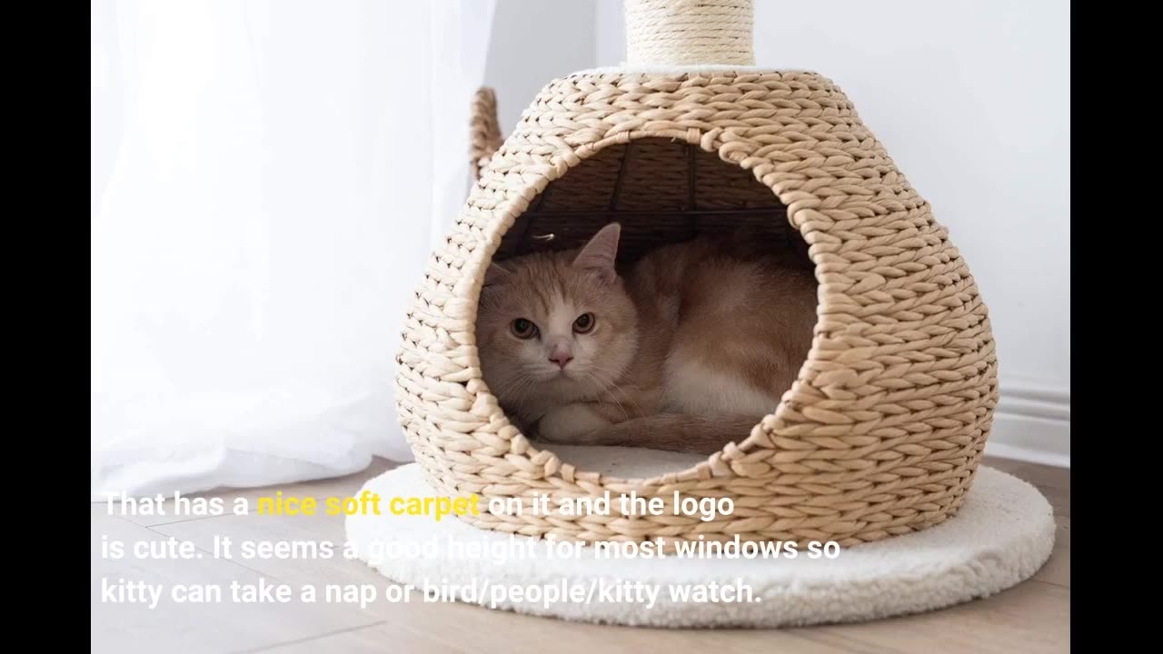 PetPals Hand Made Paper Rope #CatTree Condo with-Overview
