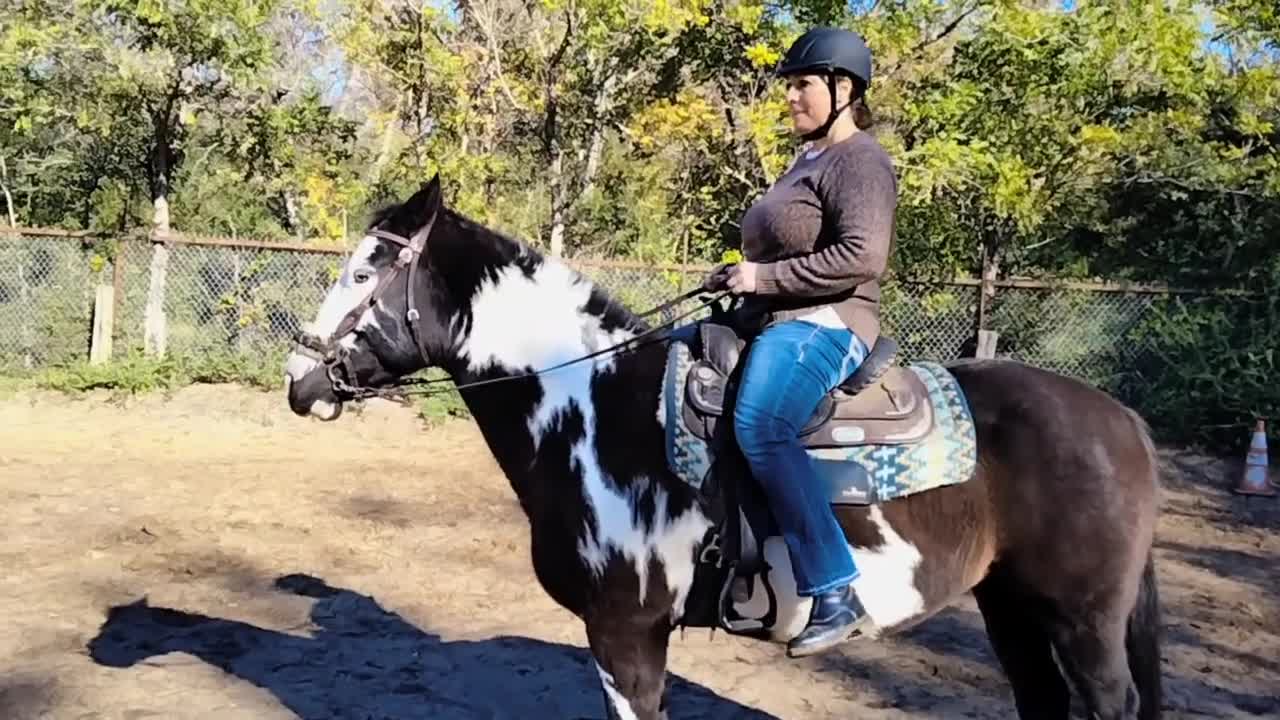 Beginner friendly Horse riding exercises for balance and control