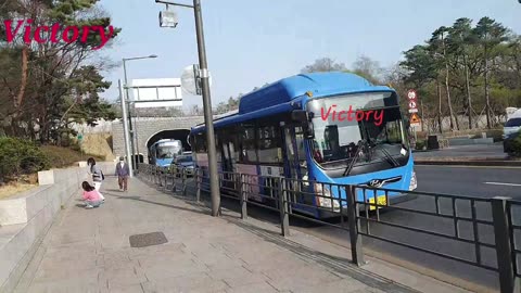 230331... 아 청설모 가 도와준다!!!#청설모