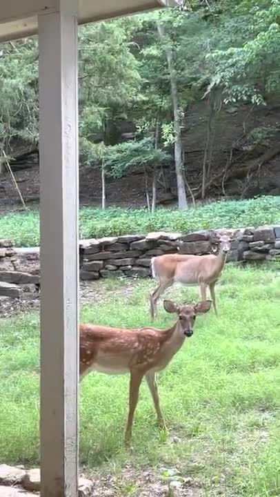 Party at the Wheeler House!