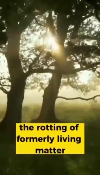 Rockefeller!! Just follow the money...