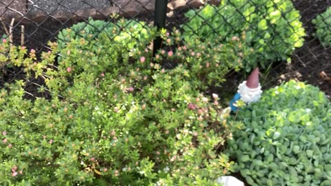 Spring colors