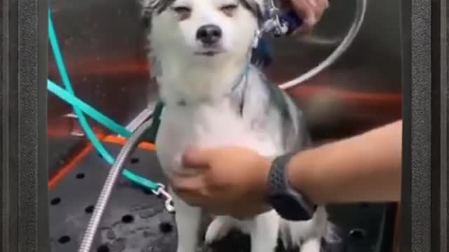 funny thug life
