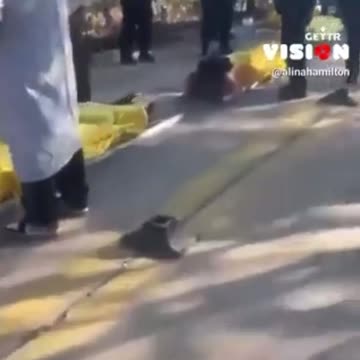 Footage out of China reporting that professional corpse transport vehicles are so overbooked