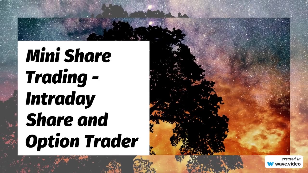 Mini Share Trading Intraday Share and Option Trader