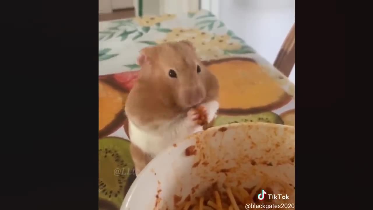 Funniest Fails Of The Year Compilation Part 2