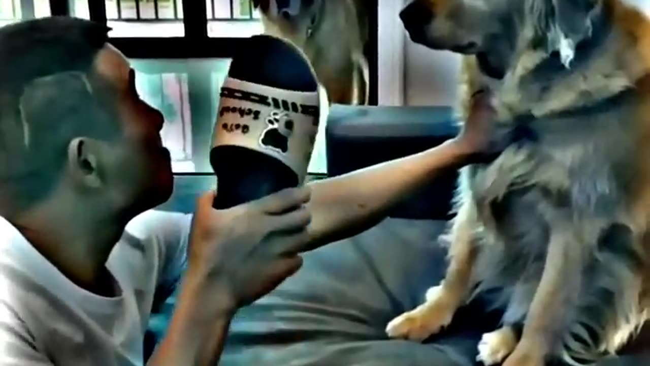 Dog love watch till the end