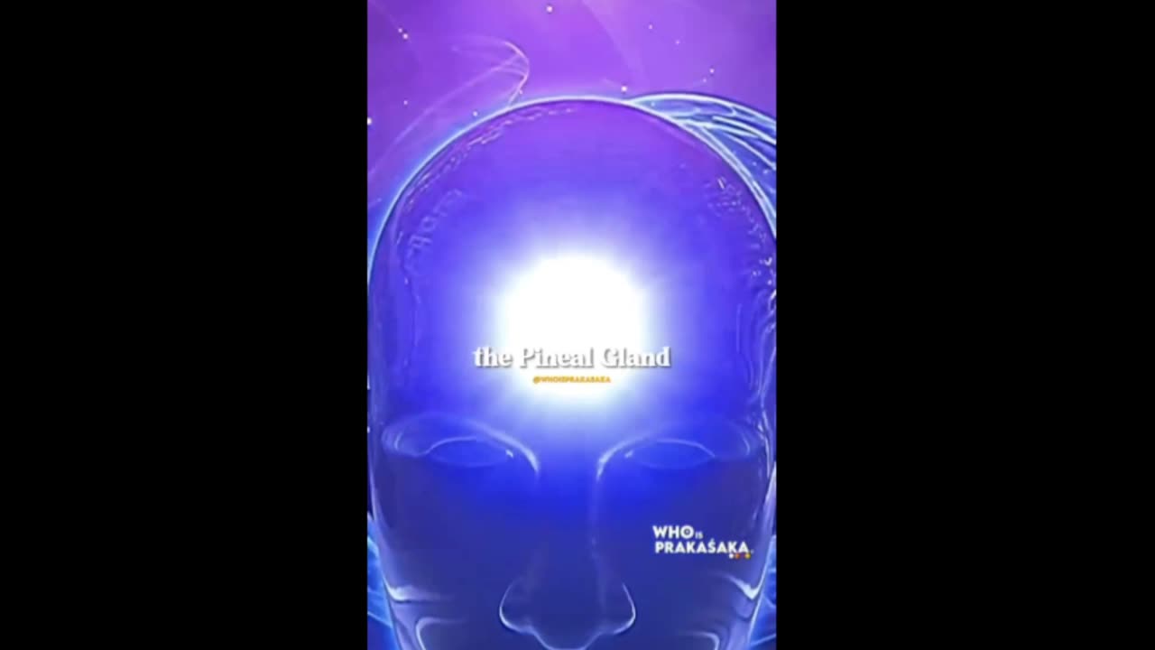 The Pineal Gland, Third Eye & Pinocchio