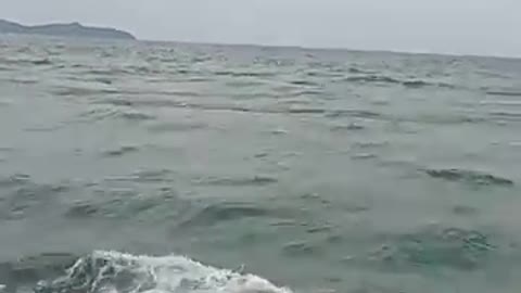 di lambung ombak
