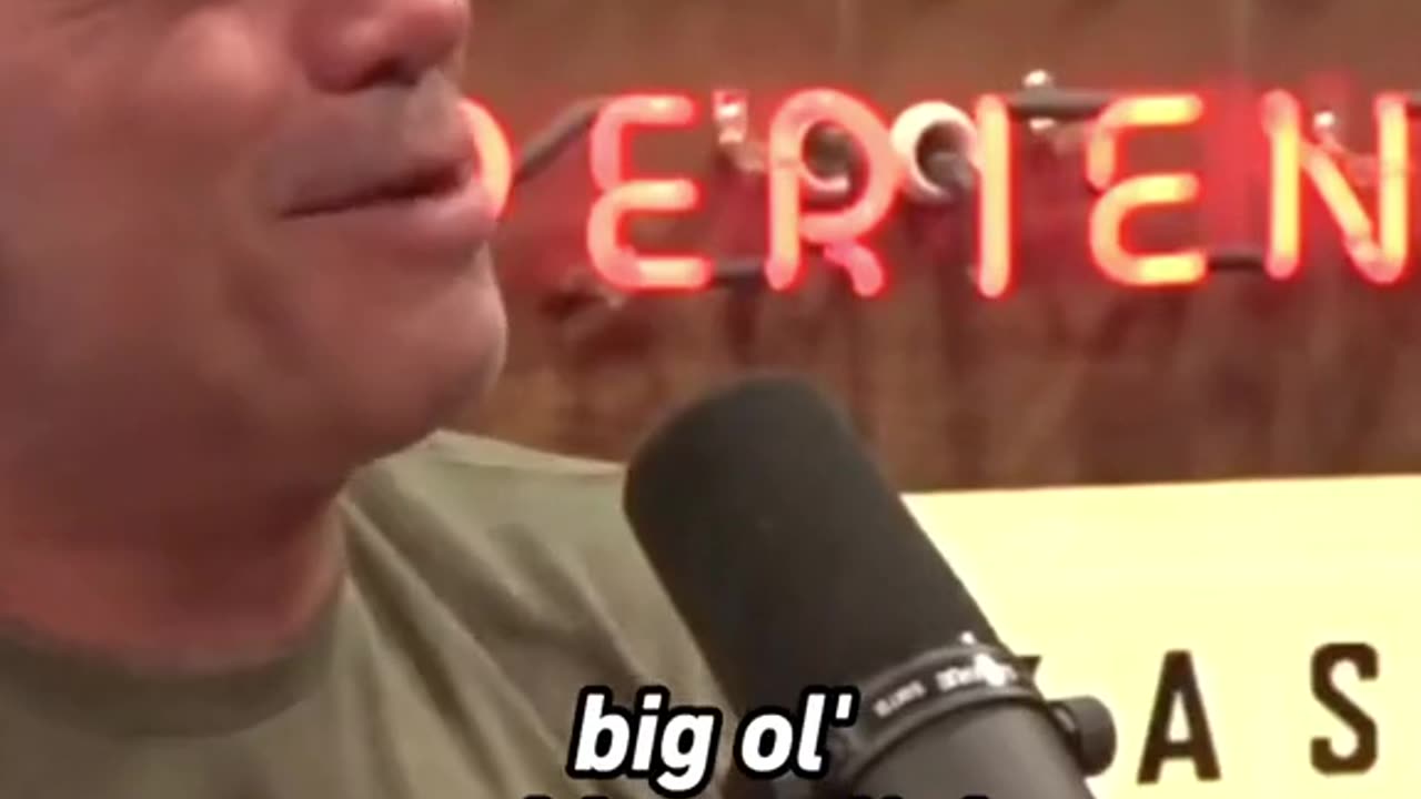 Theo Von tells hilarious story about his friend. #jre #jreclips #joerogan #theovon #theovonclips #th