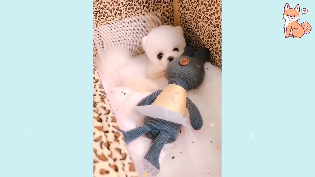 Cute Puppies #94 Cute Funny and Smart #Dogs_Reactions Compilation shorts #please_subscribe