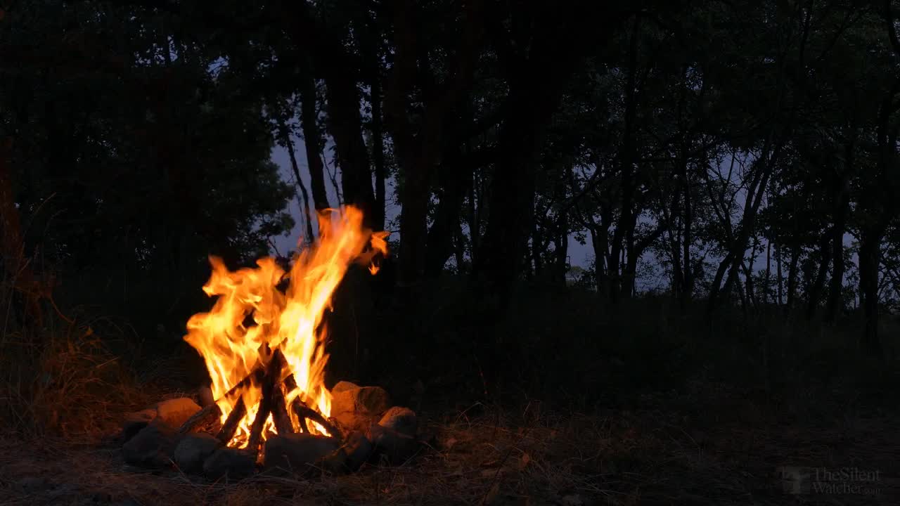 Campfire by the Sea - Crickets & Ocean Waves - Night Forest Nature Sounds - Relaxing Fireplace