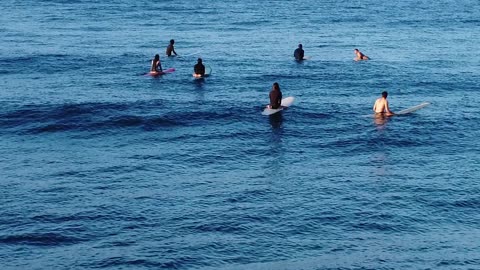 David Nuuhiwa Longboard style - Unamed female at the Ala Wai