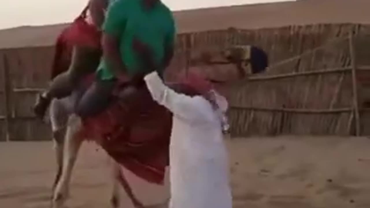 Camel_Ride_Gone_Wrong...._#funny_#camelride_#dubai_#