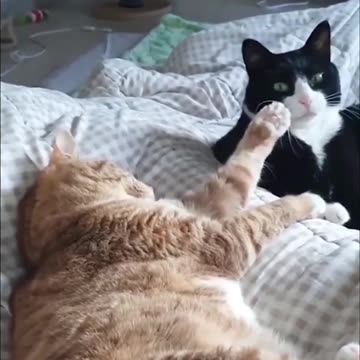 Let me see that big smile come on now 🤣