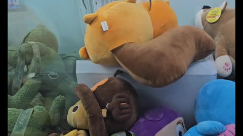 Claw Machine Drama Unfolding